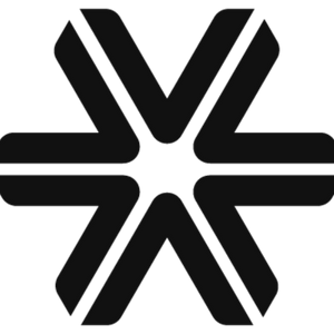 SnowFlex Logo Mark