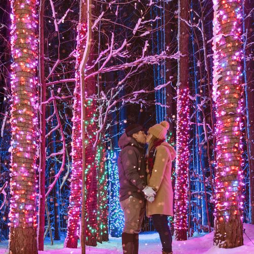 Couple kissing at the Enchanted Trail at The Highlands